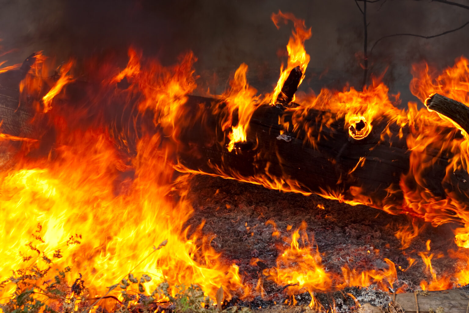 Has EIP-1559 turned Ether deflationary? Has EIP-1559 turned Ether deflationary?