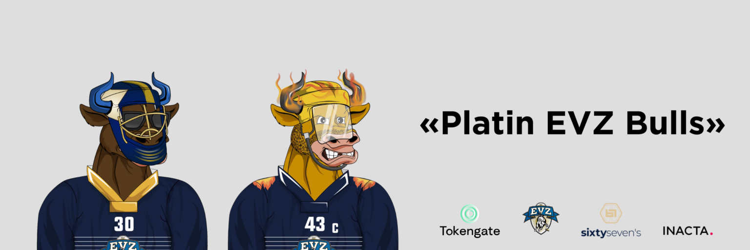 Rush for the NFTs of EV Zug (EVZ)