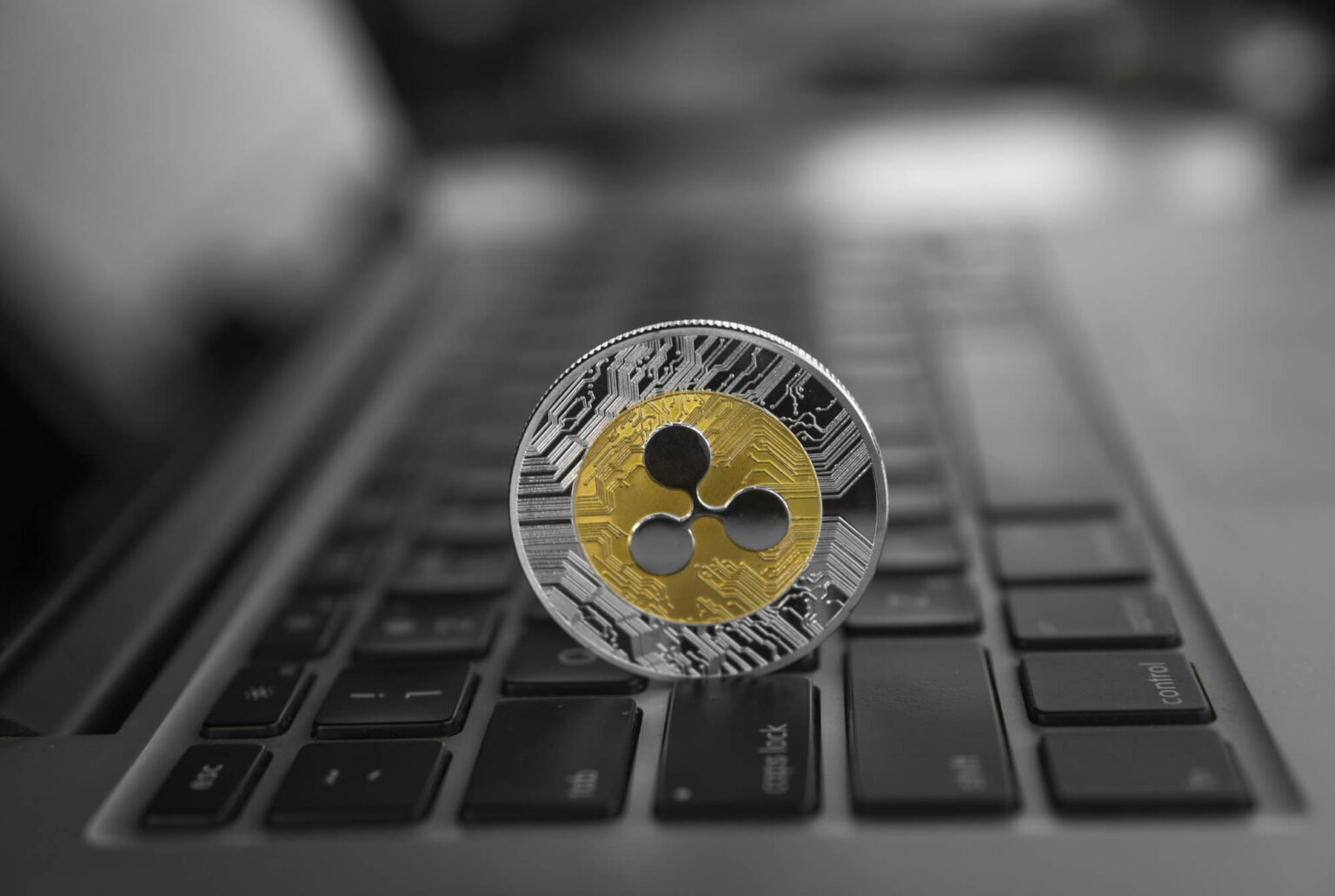 Ripple’s big plans for 2025: making XRP a favorite for banks Ripple’s big plans for 2025: making XRP a favorite for banks