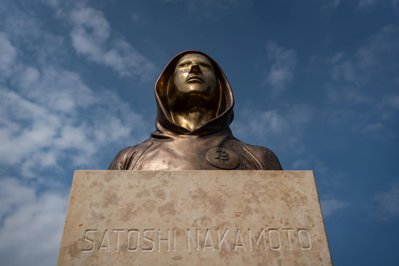 Did institutions kill Satoshi Nakamoto's dream?