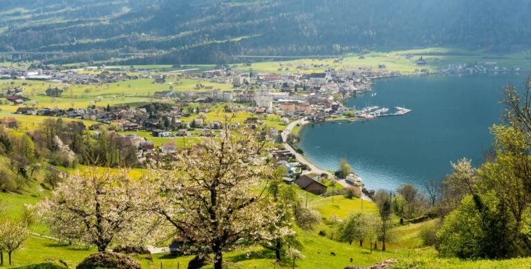Crypto Valley records 14% growth despite competition