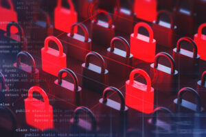 What is the privacy-centered Canton Network