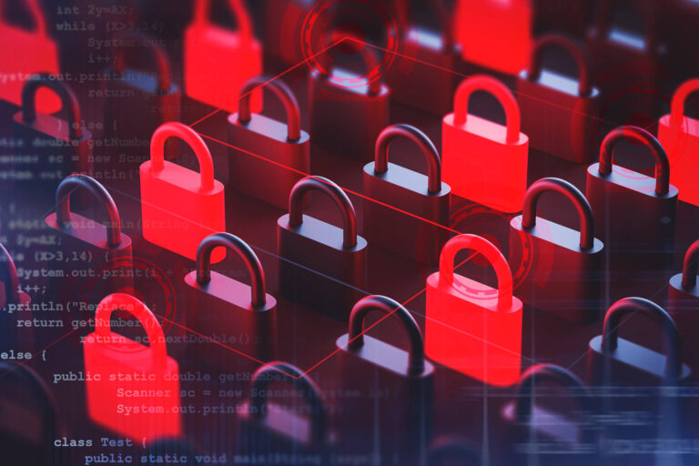 What is the privacy-centered Canton Network