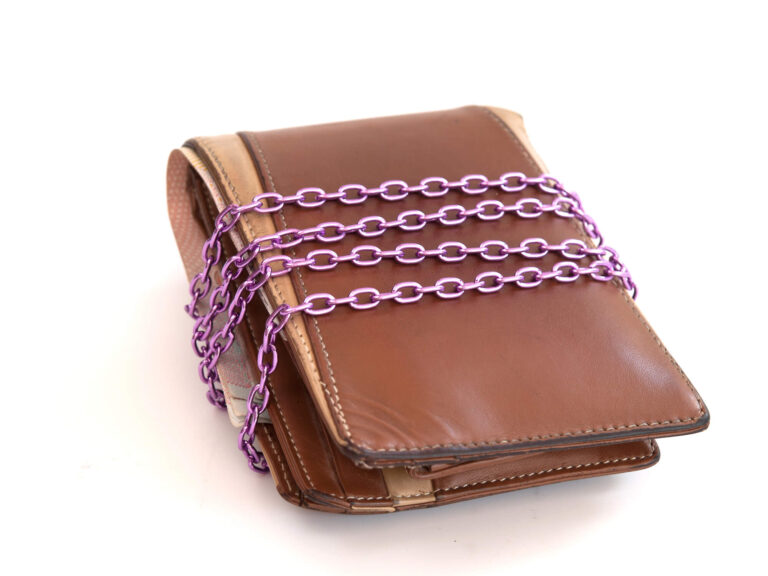 Multi-Chain Wallet