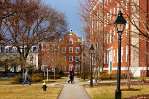 Harvard cuts Bitcoin ETF position by 21 percent and buys Ethereum for the first time